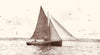 ‘Donation’ Shadow 1870’s Restoration