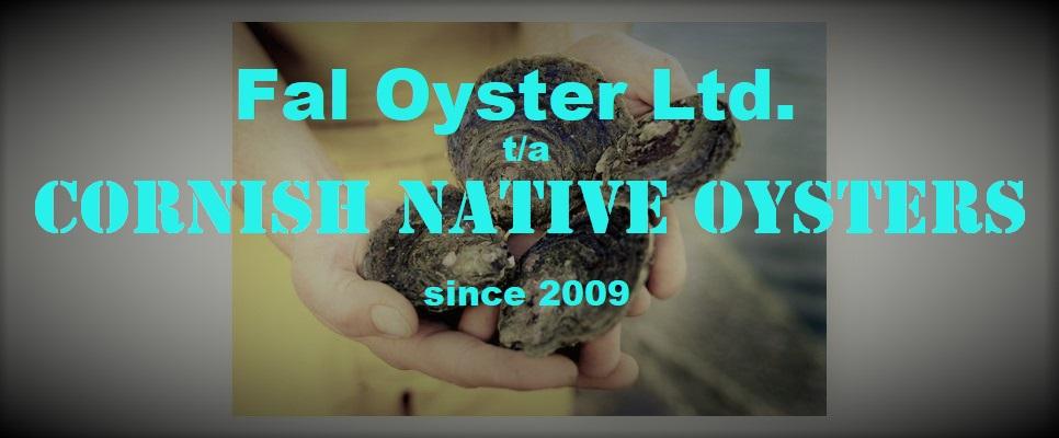 Cornish Native Oysters - since 2009
